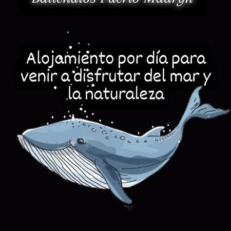 Ballenatos Madryn Puerto Madryn Eksteriør bilde