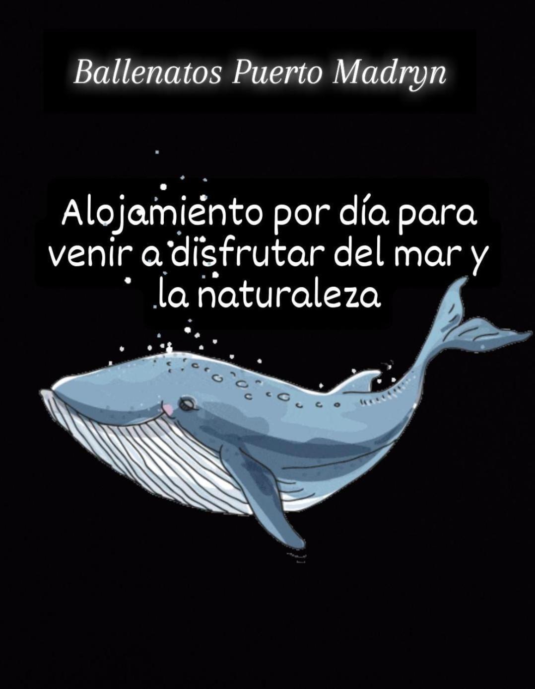 Ballenatos Madryn Puerto Madryn Eksteriør bilde